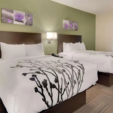Sleep Inn Dallas Northwest - Irving-3